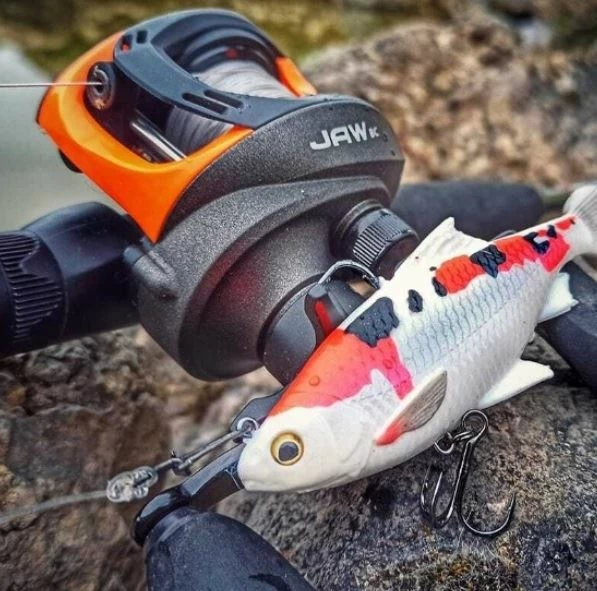 Flash Sale π₯° Okuma Jaw Baitcasting Reel - Baitcasting reels β€οΈ 2 Flash Sale π₯° Okuma Jaw Baitcasting Reel - Baitcasting reels β€οΈ - Image 2