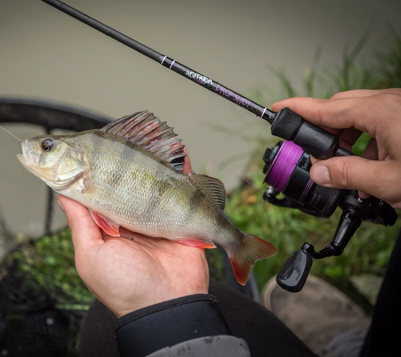 Brand new π Wychwood Agitator Series 1 Reels - Front drag reels βοΈ 3 Brand new π Wychwood Agitator Series 1 Reels - Front drag reels βοΈ - Image 3